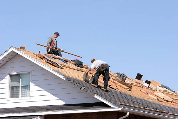 Best Skylight Installation and Repair  in Elwood, IL